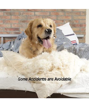 Petmaker 24-Inch White Wooden Indoor Dog Gate - Freestanding Accordion Style Fence for Doorways, Stairs or House - Buy Online on SooperMarket.com