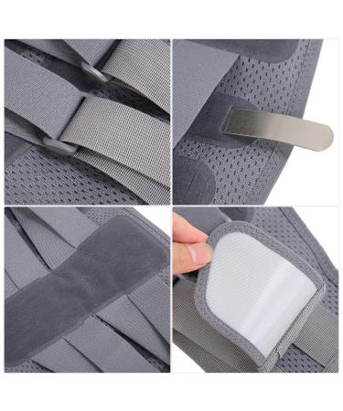 Back Support Belt Breathable Steel Plate Lumbar Support Brace for Lower Back Herniated Disc Back Brace Belt Lumbar Plate Support Lumbar Support Bracket - Buy Online on SooperMarket.com