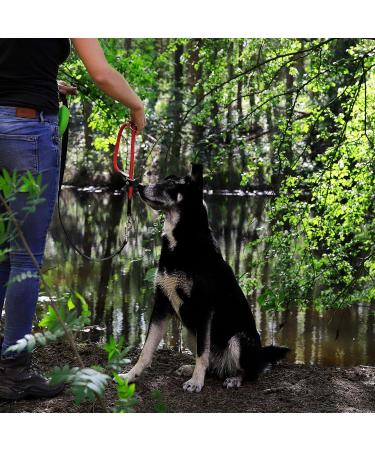 Lionto Dog Collar for Retrievers - 45 cm Red Training Collar | Durable & Adjustable - Perfect for Training & Daily Use - Buy Online on SooperMarket.com