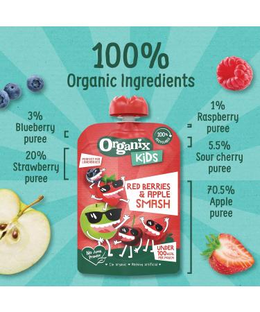 Organix Kids Red Berries & Apple Organic Smash Pouch 3+ Years 100 g (Pack of 6) - Buy Online on SooperMarket.com