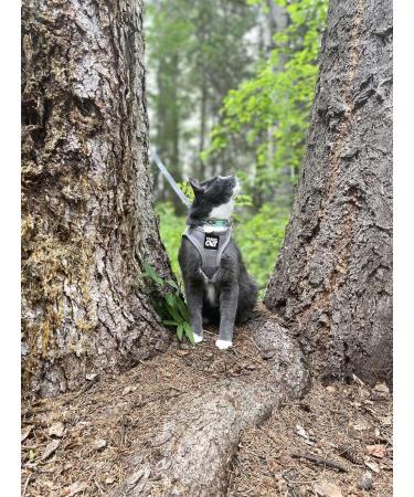 Travel Cat Harness and Leash Set - Adjustable Comfort Fit Mesh Vest Harnesses with Reflective Strap - Snug Fit Harness for Cats Kitten for Outdoor Walking Grey Large (Chest 16-19 inch) Grey L - Buy Online on SooperMarket.com
