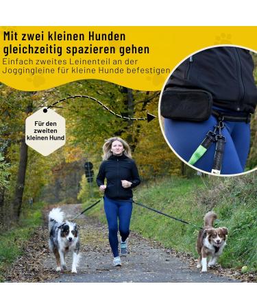 Buy Bungee Leash for Small Dogs (up to 15kg) - Adjustable 110-160cm Jogging Line Extension with 2 Loops - Buy Online on SooperMarket.com