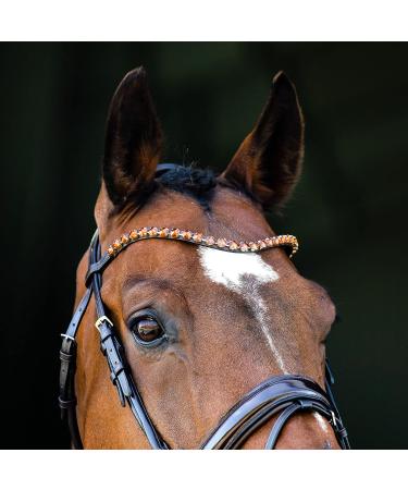 Buy HORZE Horse Bridle Clermont - Anatomical Bridle for Warmblood & Thoroughbred in Extra Warmblood Dark Brown (XF) - Buy Online on SooperMarket.com