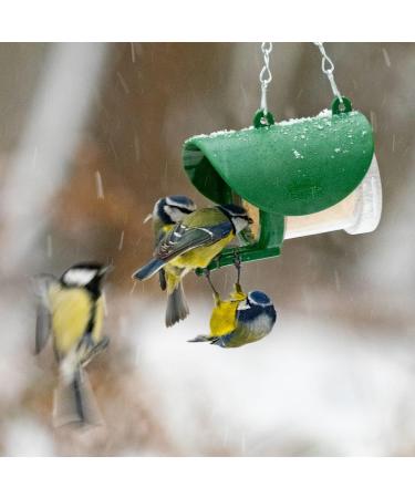 Peanut Butter for Birds - Jacobi Jayne Flutter Butter EcoRefills - Buggy Flavour Wild Bird Food - Ultra-Convenient Eco-Friendly Bird Feed - Pack of 12 Refills Buggy Buggy 140 g (Pack of 12) - Buy Online on SooperMarket.com