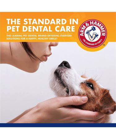 Arm & Hammer Dog Dental Care Fresh Breath Kit | Baking Soda Toothpaste & Toothbrush for Dogs | Plaque Removal Kit - Buy Online on SooperMarket.com