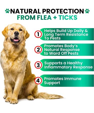 Flea & Tick Prevention Chewables for Dogs - Natural Control Supplement - Oral Pills for All Breeds - Made in USA - Buy Online on SooperMarket.com