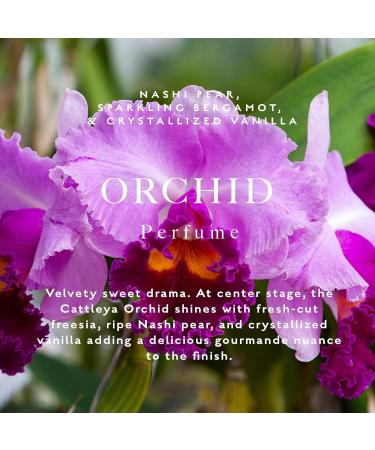 Caswell-Massey Orchid Perfume Classic Floral Scent Luxurious & Long-Lasting Fragrance for Women Full Size Perfume for Women 2 Fl Oz Orchid 2 Fl Oz (Pack of 1) - Buy Online on SooperMarket.com
