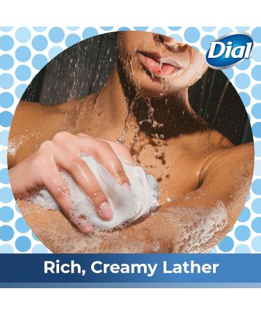 Dial Mountain Fresh Body Wash 16 fl oz - Pack of 3, All Day Freshness - Shop Now! - Buy Online on SooperMarket.com