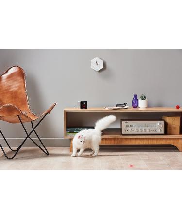 Petcube 2017: Smart Pet Camera with Interactive Laser Toy | HD Video, Two-Way Audio, Night Vision | App-Enabled Monitoring for Dog/Cat Safety - Buy Online on SooperMarket.com