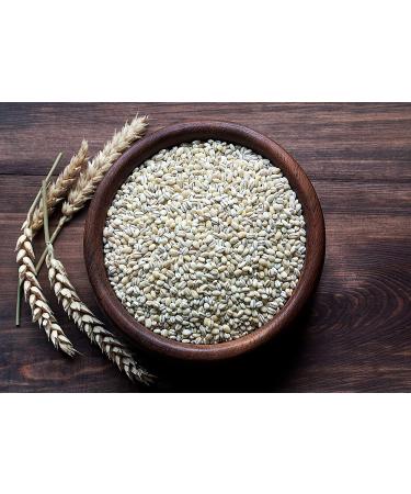 Organic Pearl Barley 3 Pounds - Non-GMO, Kosher, Vegan, Cooks Faster than Hulled Barley, Rich in Fiber & Selenium - Ideal for Risotto, Soup, Salads, Stews - 3 lb Pack - Buy Online on SooperMarket.com