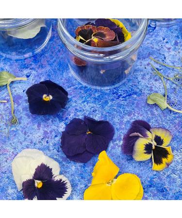 Edible Dried 'Enchanted' Flower Petal Cake Decorating Gift Set- 6 x 120ml Jars In Beautiful Presentation Box - Violas Pansies Cornflower Alyssum Pea Shoot Tendrils Nasturtium Leaves (464) - Buy Online on SooperMarket.com