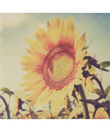 Buy FarmHouse Fresh Sunflower Honey Butter Serum | 3 Fl Oz | International Shipping Available - Buy Online on SooperMarket.com