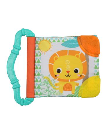 Bright Starts Teethe & Read Soft Book Toy  Ages 3 Months +  Style May Vary