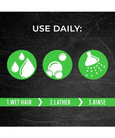 Pert 2 in 1 Anti-Dandruff Shampoo and Conditioner 13.5 fl. oz (Pack of 6) - Best for Dandruff Control and Hair Care - Buy Online on SooperMarket.com