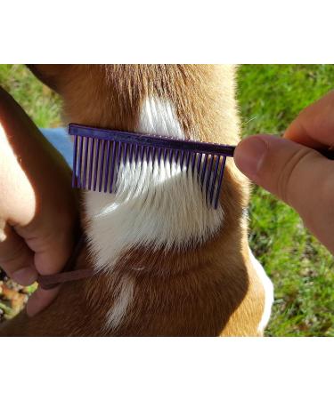 Resco Professional Anti-Static Dog Cat Pet Comb for Grooming Steel Pins Medium Tooth Spacing Candy Blue Medium Candy Blue - Buy Online on SooperMarket.com