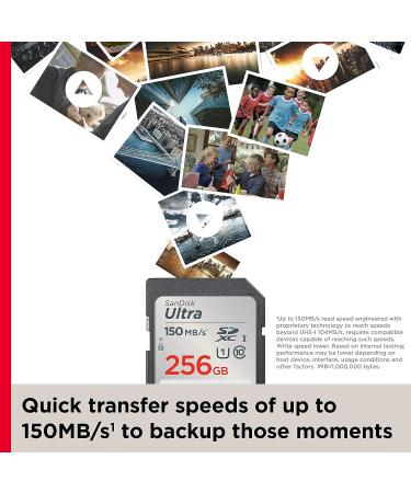 SanDisk 256GB Ultra SDXC UHS-I Memory Card - Up to 150MB/s - C10 U1 - Full HD - SDSDUNC-256G-GN6IN - Buy Online on SooperMarket.com