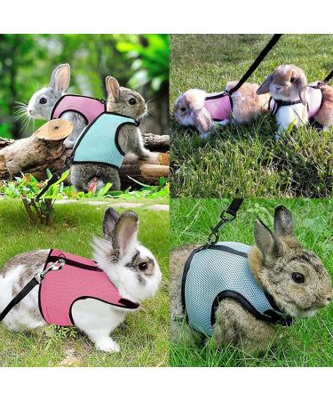 Adjustable Rabbit Dishes & Leash Set for Small Animals 2 Pieces in Blue & Pink | Perfect for Rabbits Hares Hamsters & Cats | Outdoor Use - Buy Online on SooperMarket.com