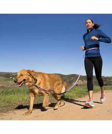 Halti Active Dog Leash with Neoprene Padding | 3m Reflective Shock Absorption Freehand Design for Running with Medium & Large Dogs - Size Large Black - Buy Online on SooperMarket.com
