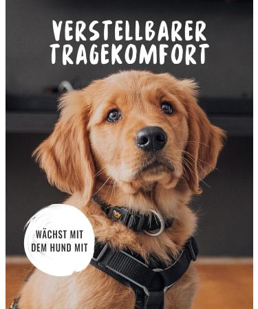Rudelknig Paola Adjustable Reflective Dog Collar for Small Dogs - Black Nylon Size 1 (25-30cm) - Buy Online on SooperMarket.com