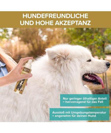 Premium Tick Spray for Dogs - 250ml | Natural & Effective Protection Against Ticks | Made in Germany - Buy Online on SooperMarket.com