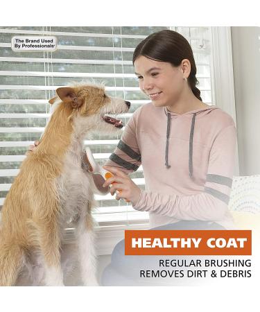 Wahl Premium Dual Level Sensitive Skin Pet Slicker Brush - Buy Online on SooperMarket.com