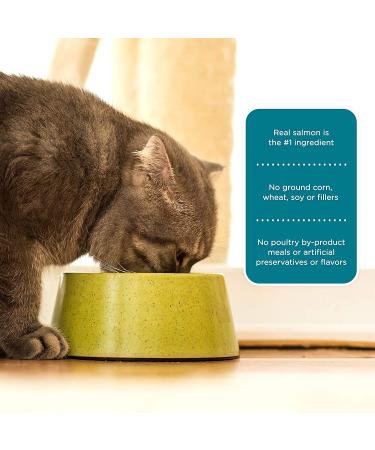 Rachael Ray Nutrish Salmon & Brown Rice Dry Cat Food 3lb - Premium Natural Formula - Buy Online on SooperMarket.com