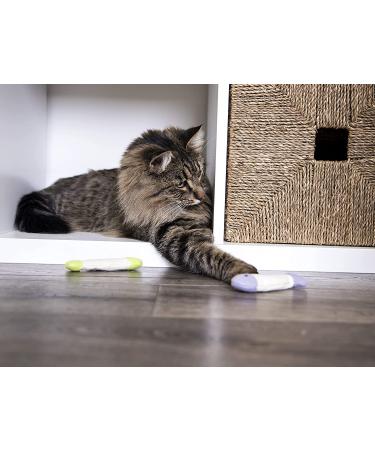 SmartyKat Crinkle Fish Catnip Toys for Cats & Kittens - Stimulating and Fun Play - 9-Set, Multiple Styles - Buy Online on SooperMarket.com