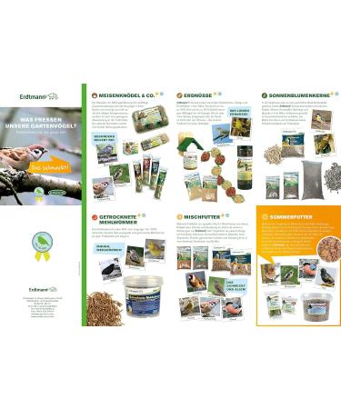 Erdtmanns 35 Fat Balls in Bucket - 3 kg Bird Feed for Garden - No Net - International Shipping Available - Buy Online on SooperMarket.com