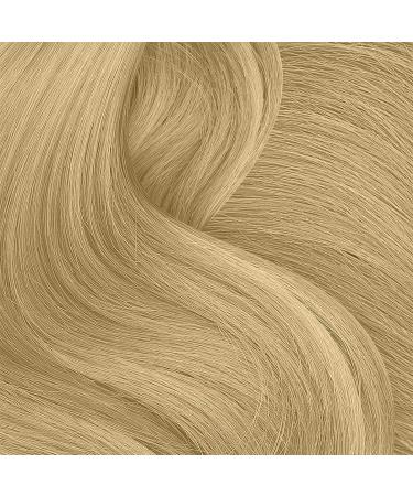 Punky Temporary Hair Highlight Spray Natural Blonde 3.5 oz x 1 Pack 3.5 Ounce (Pack of 1) Natural Blonde - Buy Online on SooperMarket.com