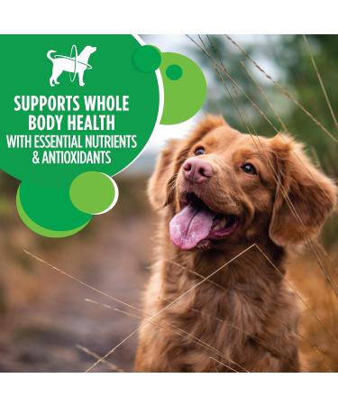 IAMS Proactive Health Minichunks Dog Food Dry Adult Chicken & Whole Grains Recipe + IAMS Proactive Health Healthy Weight Dog Food Dry Adult Chicken 6.8 kg (Pack of 1) Adult - Mini Chunks + Dry Dog Food - Buy Online on SooperMarket.com