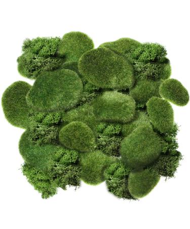 Chuangdi Artificial Moss Rock Assorted Sized Decorative Faux Green Stones Green Moss Balls with 20 Gram Preserved Green Moss for Floral Arrangements and Crafting Gardens (20 Pieces)