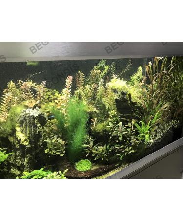 Begondis Aquarium Decorations - Artificial Green Aquatic Plants | Safe Silk & Plastic Plants for Fish & Pets | 30cm - Buy Online on SooperMarket.com
