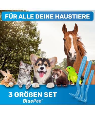 Buy Bluepet 3 Set Tick Hooks - Effective Tick Remover for Dogs Cats Horses & Humans | Alternative to Tick Tweezers | Includes Tick Lever & Bag - Buy Online on SooperMarket.com