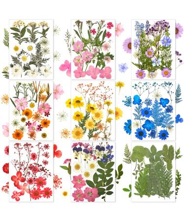 167 Pieces Real Dried Pressed Flowers Natural Dried Flowers Leaves Colorful Dry Daisy Flowers Mixed Multiple Dried Flowers for DIY Candle Resin Nails Jewelry Pendant Crafts Art Floral Decors