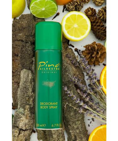 Pino Silvestre Deodorant Body Spray for Men - Long Lasting Sandalwood & Musk Fragrance - 6.7 Oz Cologne - International Shipping Available - Buy Online on SooperMarket.com