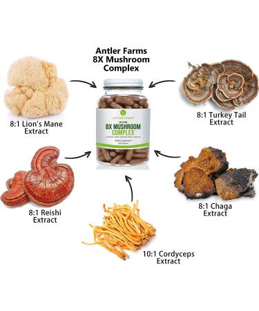 Antler Farms 100% Pure 8X Mushroom Complex - Organic Five Mushroom Blend - Lion's Mane, Reishi, Cordyceps, Chaga, Turkey Tail - Fruiting Bodies Only - Buy Online on SooperMarket.com