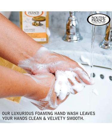 Glazed Apricots Foaming Hand Wash | Organic Agave Nectar | 8 oz Pump | South of France - Buy Online on SooperMarket.com