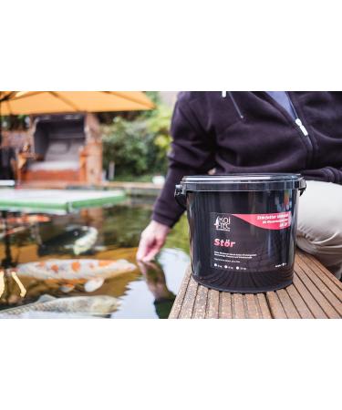 Koipon Premium Disturbance Food 6kg - 6mm Pellets for Sturgeon & KOI - Ideal Pond Lining for Garden Ponds - International Shipping Available - Buy Online on SooperMarket.com