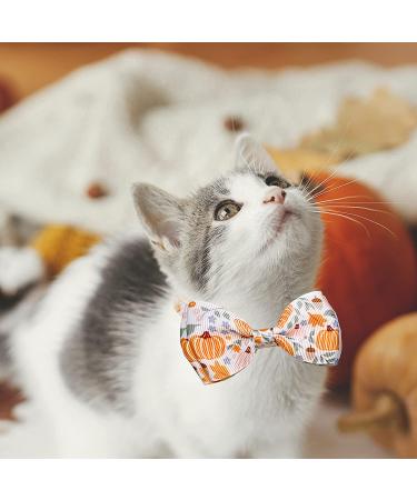 Fall Bow Tie Pumpkin Cat Collar Set with Bell | Autumn Thanksgiving Harvest Holiday Collar for Cats | Pumpkin Patch Design for Boys and Girls - Buy Online on SooperMarket.com