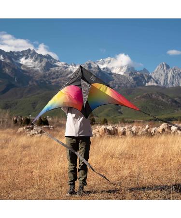 Delta Kite for Kids & Adults - Easy to Fly Single Line Beach Kite for Family Fun - Colorful Outdoor Activity - Buy Online on SooperMarket.com