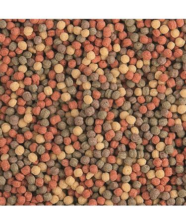 Tropical Pond Pellet Mix - Medium - 650 g - Buy Online on SooperMarket.com