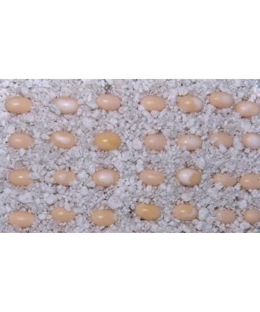 Buy Lucky Reptile HR-2 HatchRite 2L - Premium Breeding Substrate for Reptiles | Fast International Shipping - Buy Online on SooperMarket.com