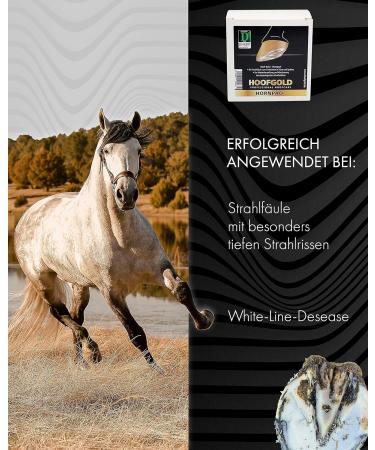 HOOFGOLD Hornpad for Horses - 10 Pads for Effective Thrush and Frog Care | International Shipping - Buy Online on SooperMarket.com