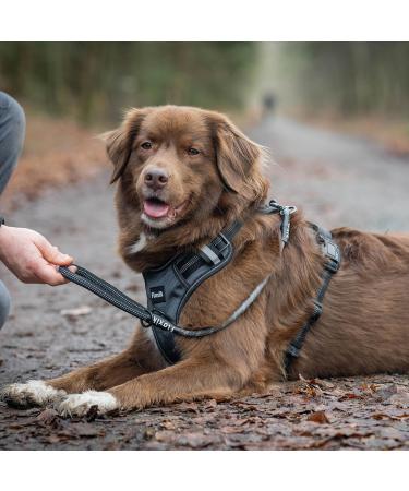 Floxik Gray Short Guide for Dogs | 12mm Reflective Climbing Rope | Ideal for Leash & Free-Range Training - Buy Online on SooperMarket.com