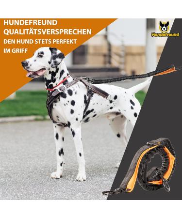 Premium Elastic-Free Jogging Leash for Large Dogs | 120-170 cm Adjustable | Orange | Comfortable Belly Belt & Removable Soft Loops - Buy Online on SooperMarket.com