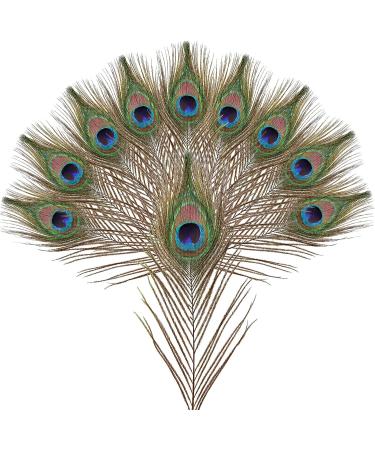 10pcs Multicolored Natural Peacock Feathers for DIY Crafts and Easter Decoration - 10-12 inch - Buy Online on SooperMarket.com