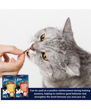 Felix Soup Cat Food Bundle Containing Farm and Fish Selection 48g x24 | Cat Treats 60g x2 | Silvervine Sticks - Buy Online on SooperMarket.com