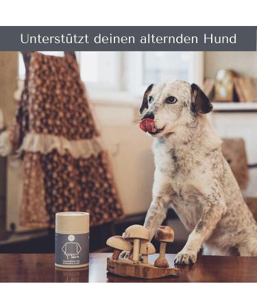 MycAni Graubart - Natural & Plastic-Free Medicinal Mushroom Herbs for Senior Dogs - Reishi Cat's Claw & Turmeric - Buy Online on SooperMarket.com