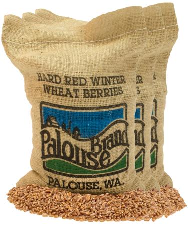 Hard Red Winter Wheat Berries | 3 Pack | Family Farmed in Washington State | Non-GMO Project Verified | 15 LBS | Kosher