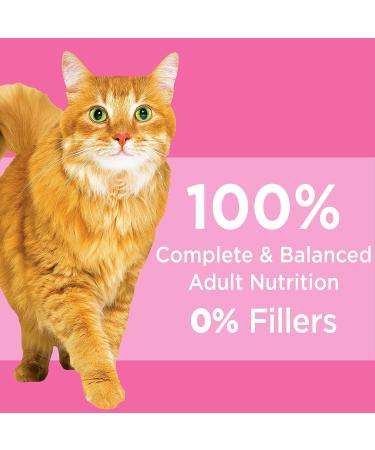 IAMS Proactive Health Dry Cat Food Adult Sensitive Digestion & Skin Turkey 2.72kg Bag 2.72 kg (Pack of 1) Cat Food - Buy Online on SooperMarket.com